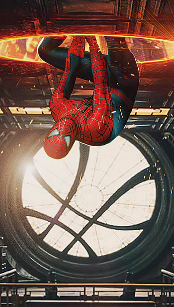 Spiderman, spiderverse, comics, gwen, strange, marvel, venom, peter, parker, stacy, brock, mcu, ucm, eddie HD phone wallpaper