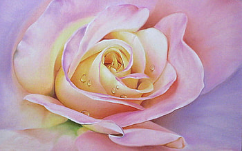 Yellow-throated Pink Rose F1, art, floral, romance, beauty, artwork, rose, wide screen, painting, flower, love HD wallpaper
