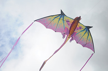 Dragon kite, Kite Sports HD wallpaper