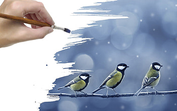 Birds, Art, Snow, Hand, Drawing, , Branch, Brush, Titmouse HD wallpaper