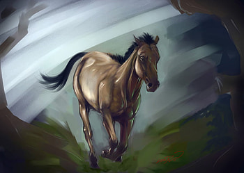 Abstract horse, animal, horse, brown, drawing, run HD wallpaper