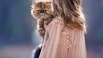 Children And Cat Cute, cute, cat HD wallpaper