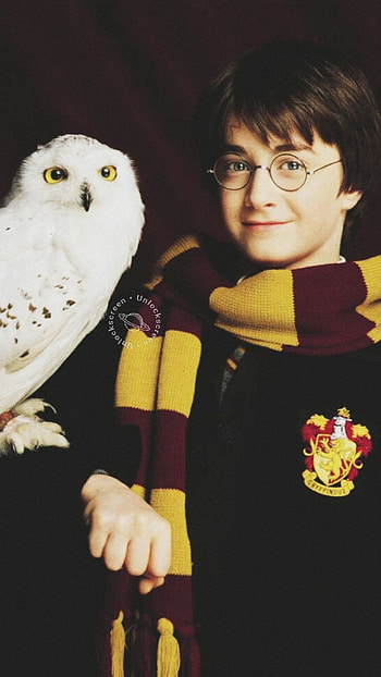 Harry Potter With Bird, harry potter, with bird HD phone wallpaper