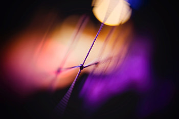 Dark, Glare, Thread, Knot HD wallpaper