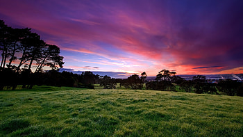 Beautiful Morning, Parks, Nature, Mornings, Sky, Sunrises HD wallpaper