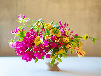 Cheery springtime, colors, vase, flowers, bright HD wallpaper