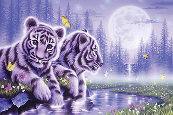 BABIES BY THE POOL, babies, white, water, tigers HD wallpaper