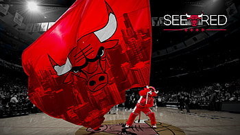 Chicago Bulls, Sports team, , Background HD wallpaper