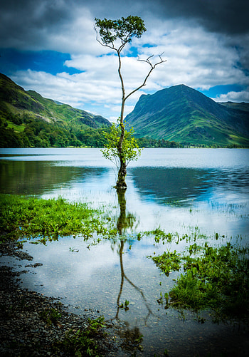 Nature, Mountains, Rocks, Lake, Reflection, Wood, Tree HD phone wallpaper