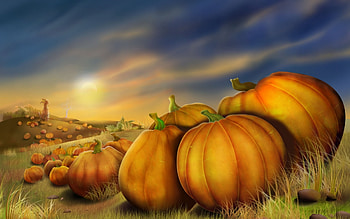 Background, Vegetables, , Pumpkin HD wallpaper