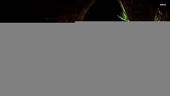 Green Arrow - Arrow - TV Show - HD wallpaper