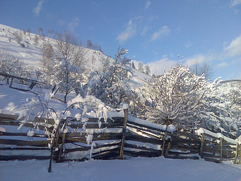 hill, snow, trees, blue sky, beautiful, blue sky, snow, trees, beautiful, hill HD wallpaper