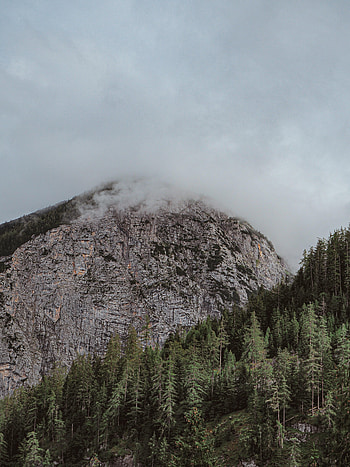 Nature, Trees, Mountain, Vertex, Top, Fog, Stone HD phone wallpaper