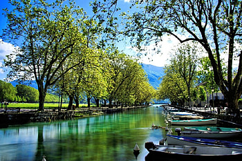 Annecy, France, Boats, France, Nature, Trees HD wallpaper