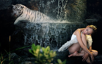 female fantasy art, tiger, fantasy, art, , female HD wallpaper