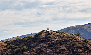 Plants, Nature, Sky, Hill, Cactus HD wallpaper