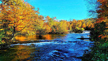 Niagara River just before heading over the Bridal Veil - Luna Falls, New York, autumn, landscape, colors, cascade, forest, water, usa HD wallpaper