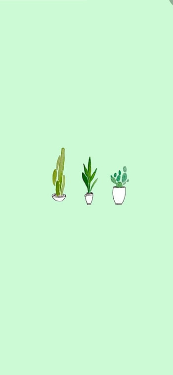 Cute green aesthetic, light green HD phone wallpaper