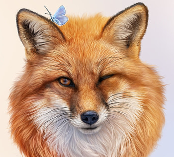 Fox, red, elena roslyakova, vulpe, orange, animal, art, fluture, fantasy, butterfly, face HD wallpaper