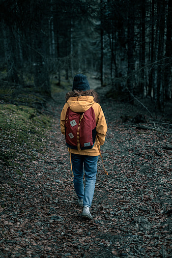 Nature, Miscellanea, Miscellaneous, Forest, Stroll, Human, Person, Loneliness HD phone wallpaper