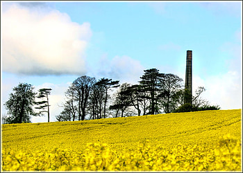 old tannery chimney, trees, fields, tannery, old HD wallpaper