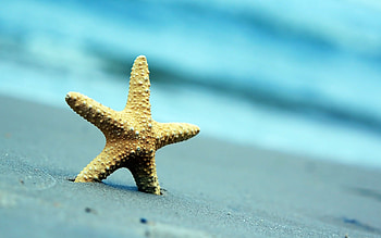Sand sea beach, Summer nature background, full HD wallpaper