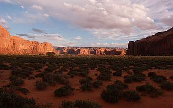 Nature, Desert, Shadow, Evening, Shrubs HD wallpaper