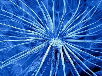 Icy Blue, blue, abstract HD wallpaper
