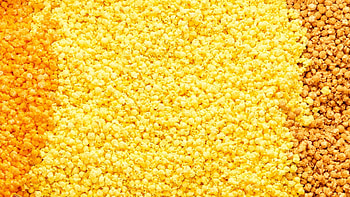 Virtual background , Popcorn theme, The Popcorn Factory, Fun visuals HD wallpaper