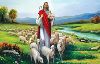 Jesus sheperd of the souls, god, sheep, jesus, christ, gospel, shephed HD wallpaper