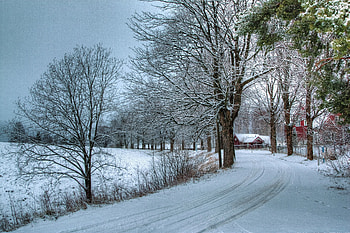 Winter scenery, snow, trees, nature, road, village, winter, white, graphy, landscape, country, season, rural HD wallpaper