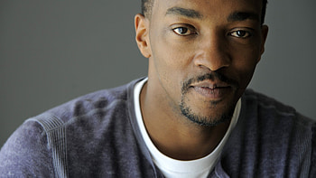 Anthony Mackie, actor face portrait HD wallpaper