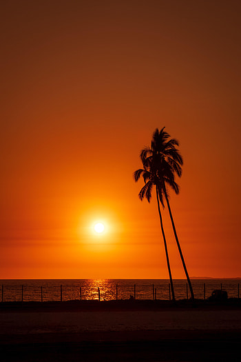 Landscape, Sunset, Sea, Sun, Palms, Dark HD phone wallpaper