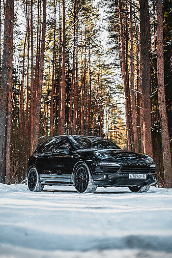 Porsche, Snow, Cars, Forest, Car, Machine, Side View HD phone wallpaper