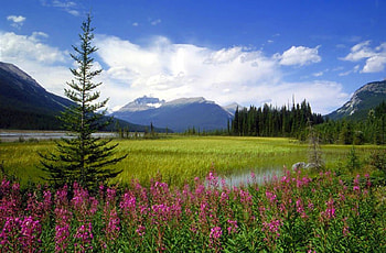 Beautiful Scenery, cool, scenery, beautiful HD wallpaper