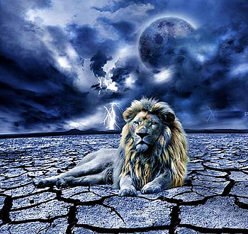 LION ON MOONLIGHT, moonlight, clouds, desert, night light, storm HD wallpaper