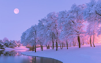 Beautiful Winter Evening, dusk, moon, snow, river, trees, water HD wallpaper