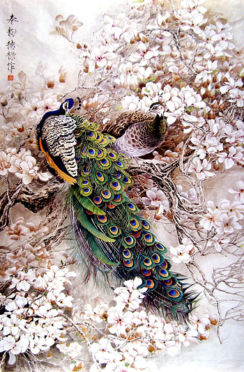 Animals, Birds, , Peacocks HD phone wallpaper