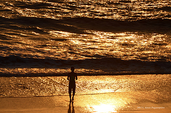Nature, Sunset, Sea, Silhouette, Surf HD wallpaper
