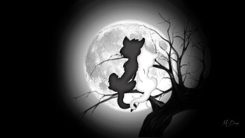 Moon Watch, full moon, kitties, cats, Firefox Persona theme, tree, kittens, love, black and white, felines, romantic HD wallpaper