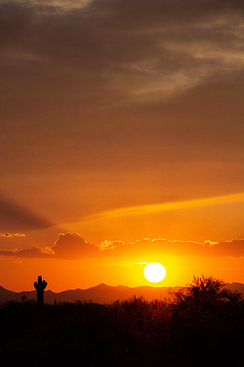 Nature, Sunset, Sun, Prairie, Cactus, Valley HD phone wallpaper