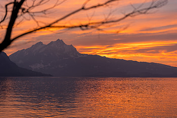 Nature, Water, Sunset, Mountains, Branches HD wallpaper
