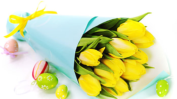 Plants, Flowers, Bouquets HD wallpaper