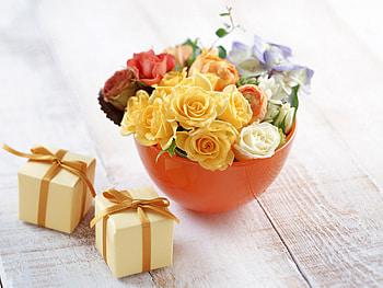 Plants, Flowers, Roses, Bouquets HD wallpaper