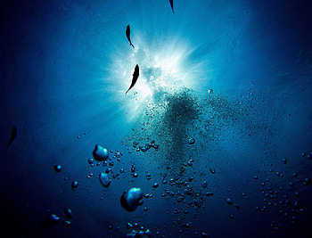 Water, Bubbles, Fishes, Miscellanea, Miscellaneous, Depth, Underwater, Submarine HD wallpaper