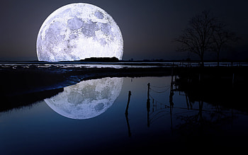 Moon River, night, river, 3d, moon, silhouette HD wallpaper