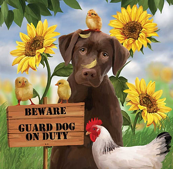 :), chicks, cute, sunflower, caine, chicken, dog, bird, art, brown, yellow, funny, pasari HD wallpaper