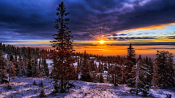 Norwegian Winter Sunset, scandinavia, snow, trees, colors, landscape, clouds, sky, sun HD wallpaper