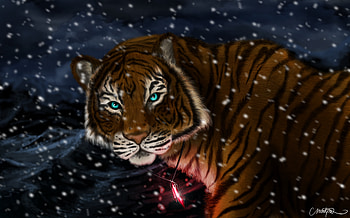 Art, Snow, Predator, Sight, Opinion, Tiger, Pendant, Coulomb HD wallpaper