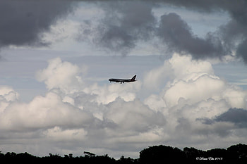 Aircraft in stormy skies, clouds, plance, trees, rain HD wallpaper
